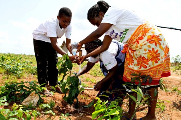 Rejina Kalipi waters a tree with Tatu Ramadhani Kiluwa and Eva Mageni Daudi. (Coco McCabe / Oxfam America)
